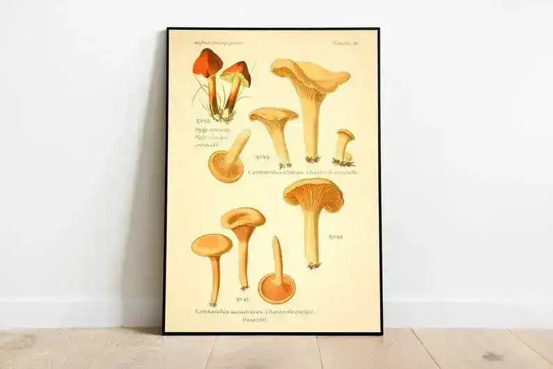 Mushroom Wall Print| Botanical Wall Art