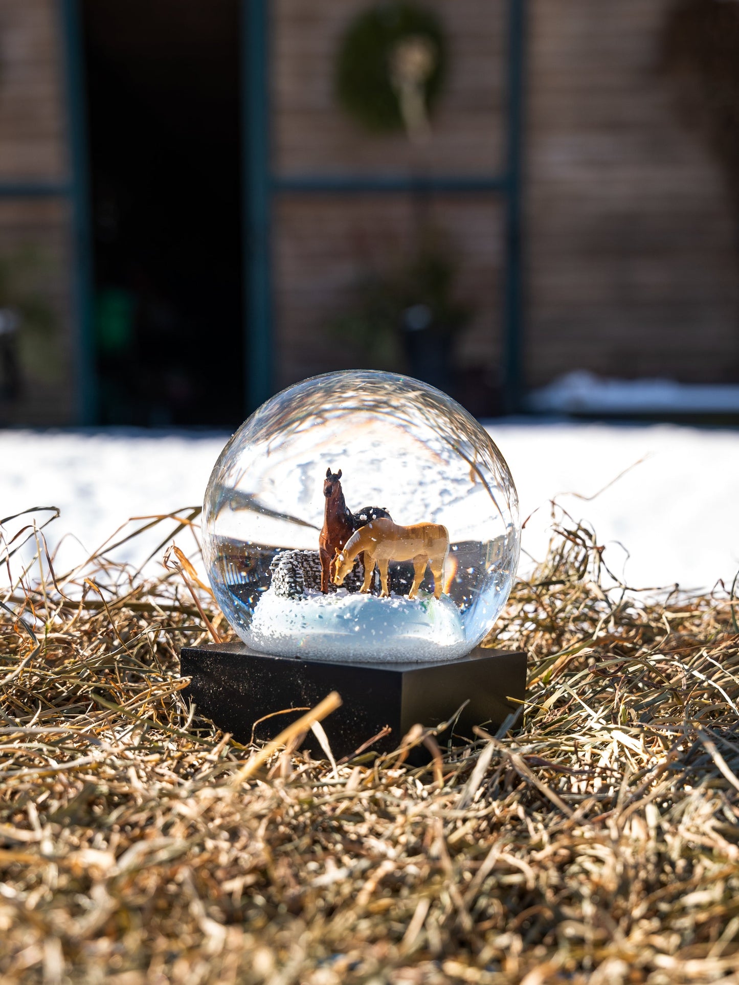 Horses Snow Globe