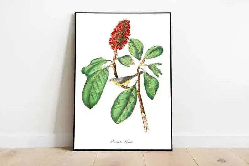 Vintage Bird Art Prints| Bird Poster