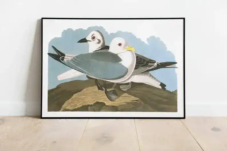 Vintage Bird Art Prints| Bird Poster