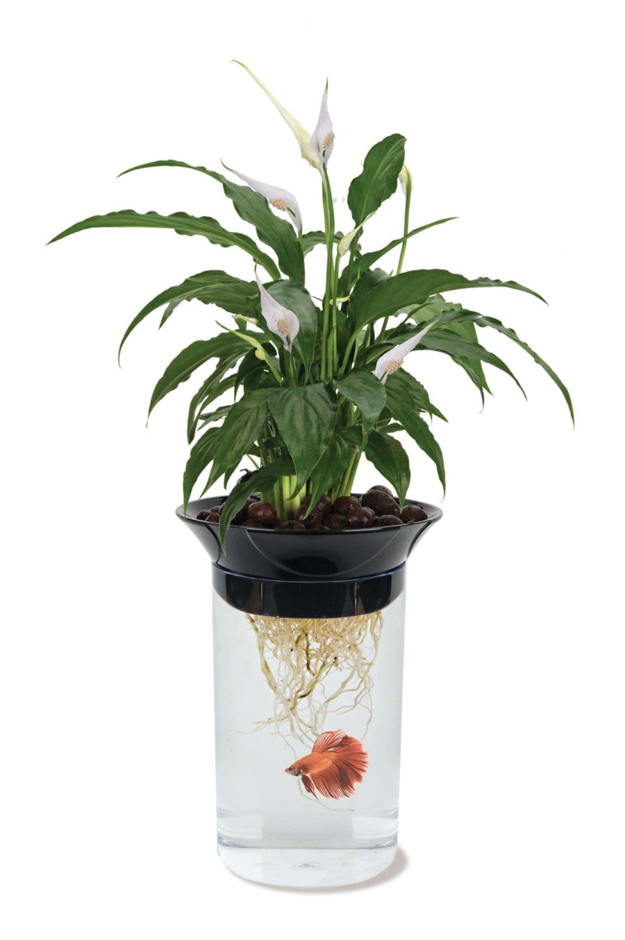 Penn-Plax Natures Aqua Ponics Planter Betta Bowl Kit Clear; Black; Green 67,6 oz