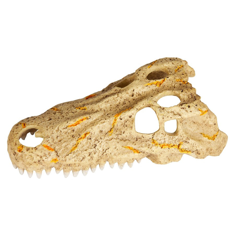 Zilla Rapid Sense Decor Medium Crocodile Skull, 1ea/Medium
