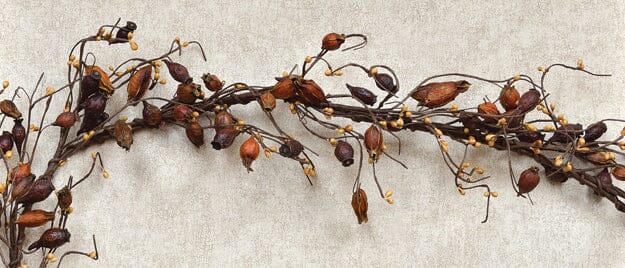 Dried Rose Hip Garland 4'
