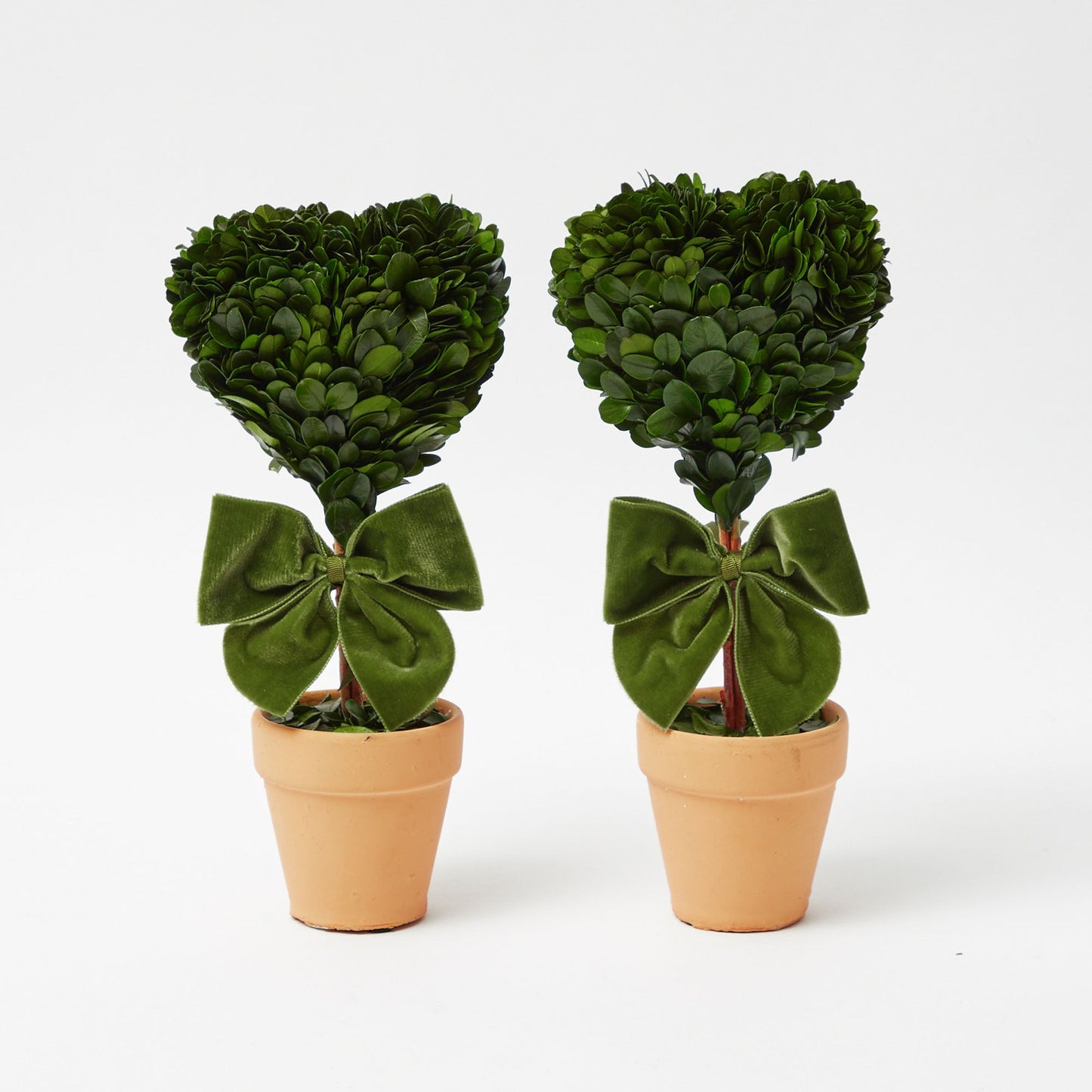 Heart Shaped Potted Boxwood Tree (Pair)