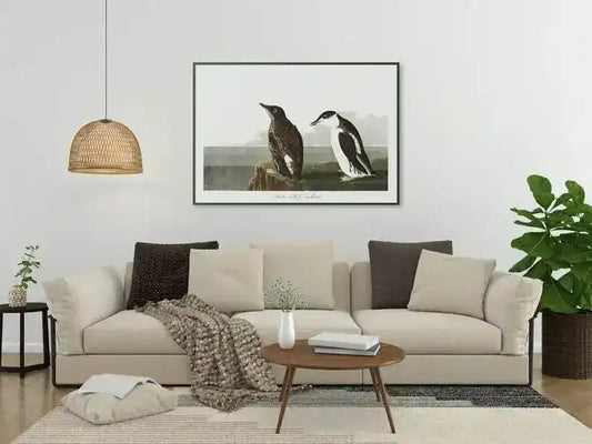 Vintage Bird Art Prints| Bird Poster