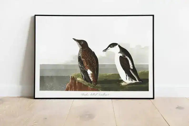 Vintage Bird Art Prints| Bird Poster