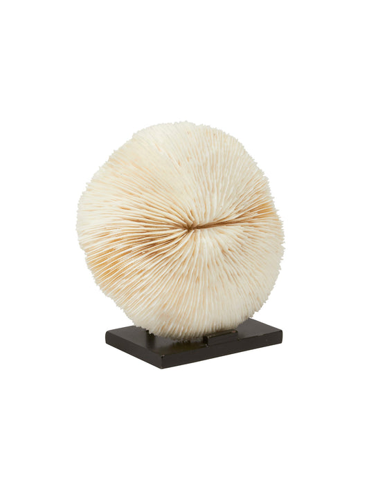 Vintage Free Living Coral on Stand