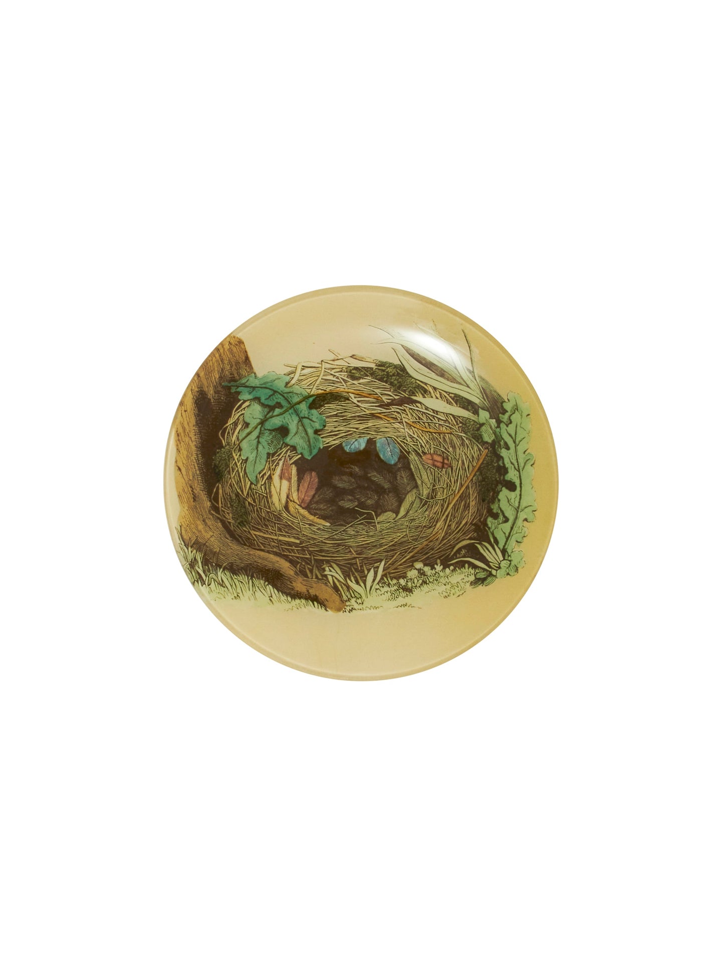 Vintage John Derian Nest Round Plate