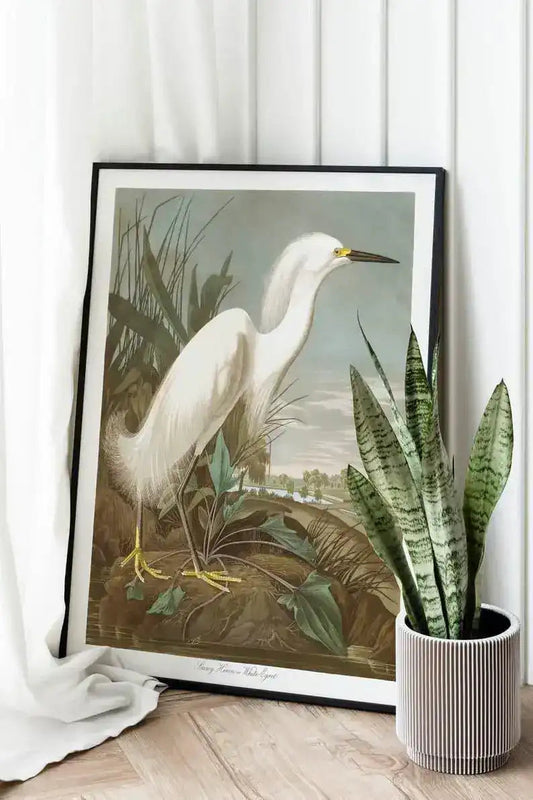 Vintage Bird Art Prints| Bird Poster