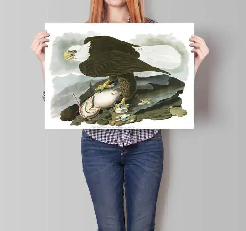 Vintage Bird Art Prints| Bird Poster