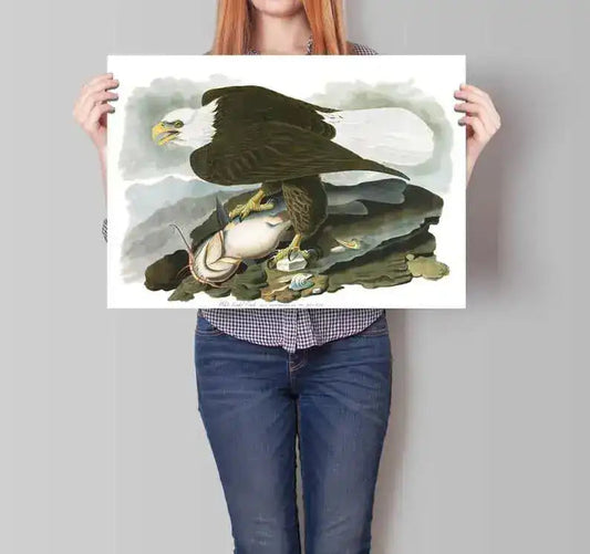 Vintage Bird Art Prints| Bird Poster