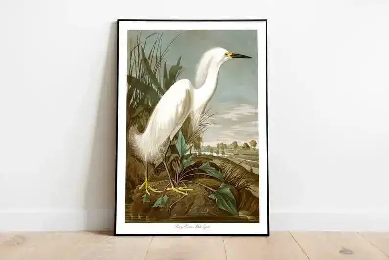 Vintage Bird Art Prints| Bird Poster