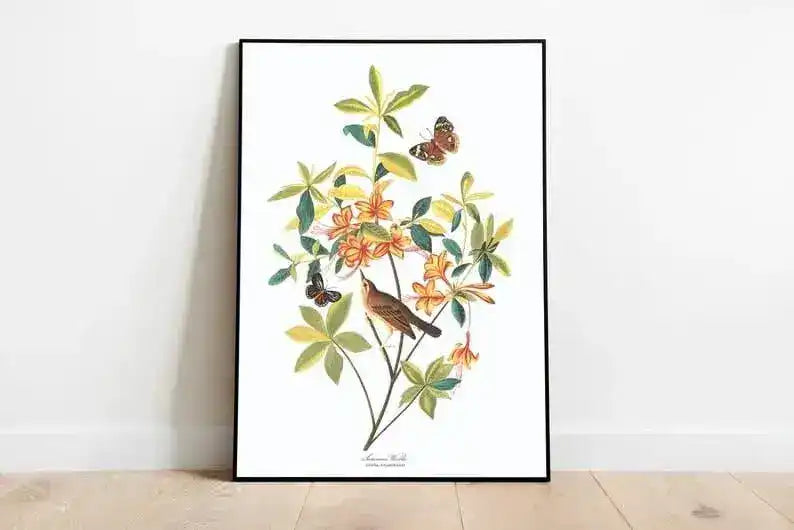 Vintage Bird Art Prints| Bird Poster