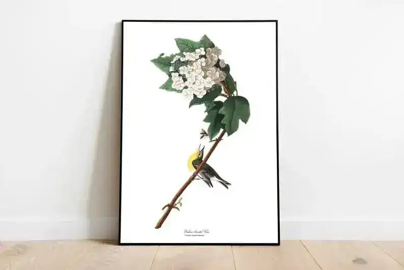 Vintage Bird Art Prints| Bird Poster