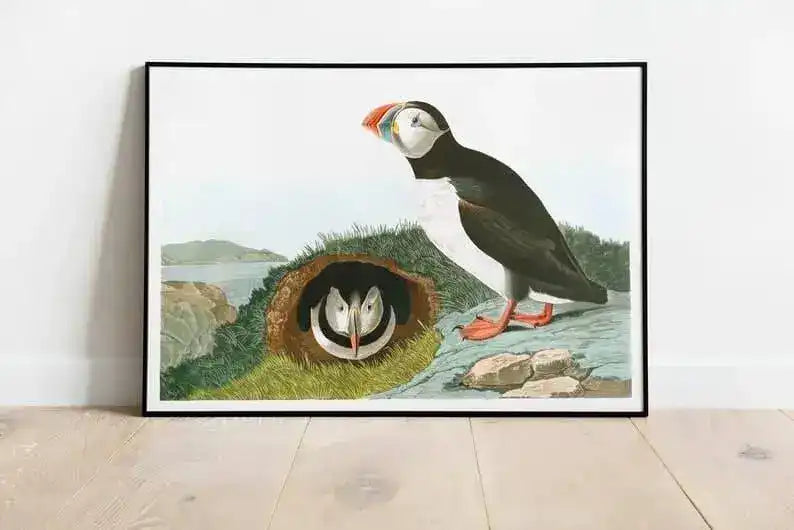 Vintage Bird Art Prints| Bird Poster