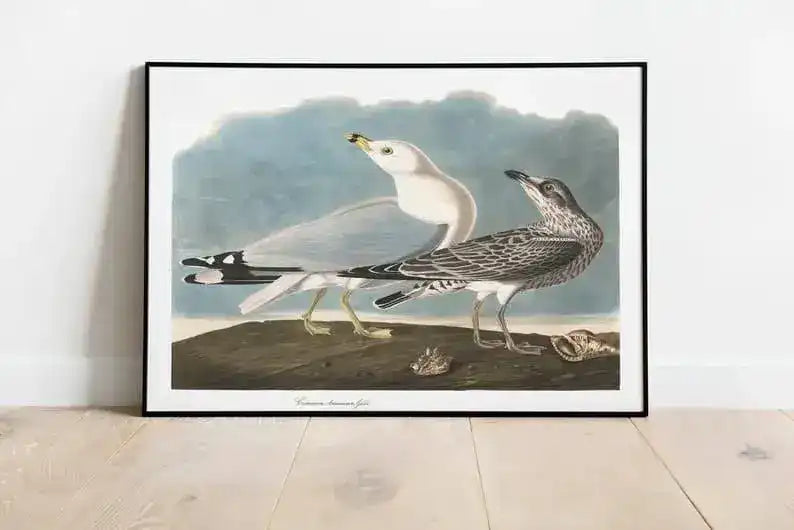 Vintage Bird Art Prints| Bird Poster